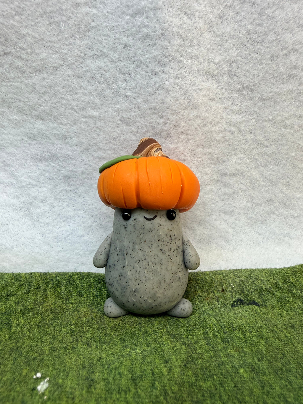 Halloween, Pumpkin Rock Pet