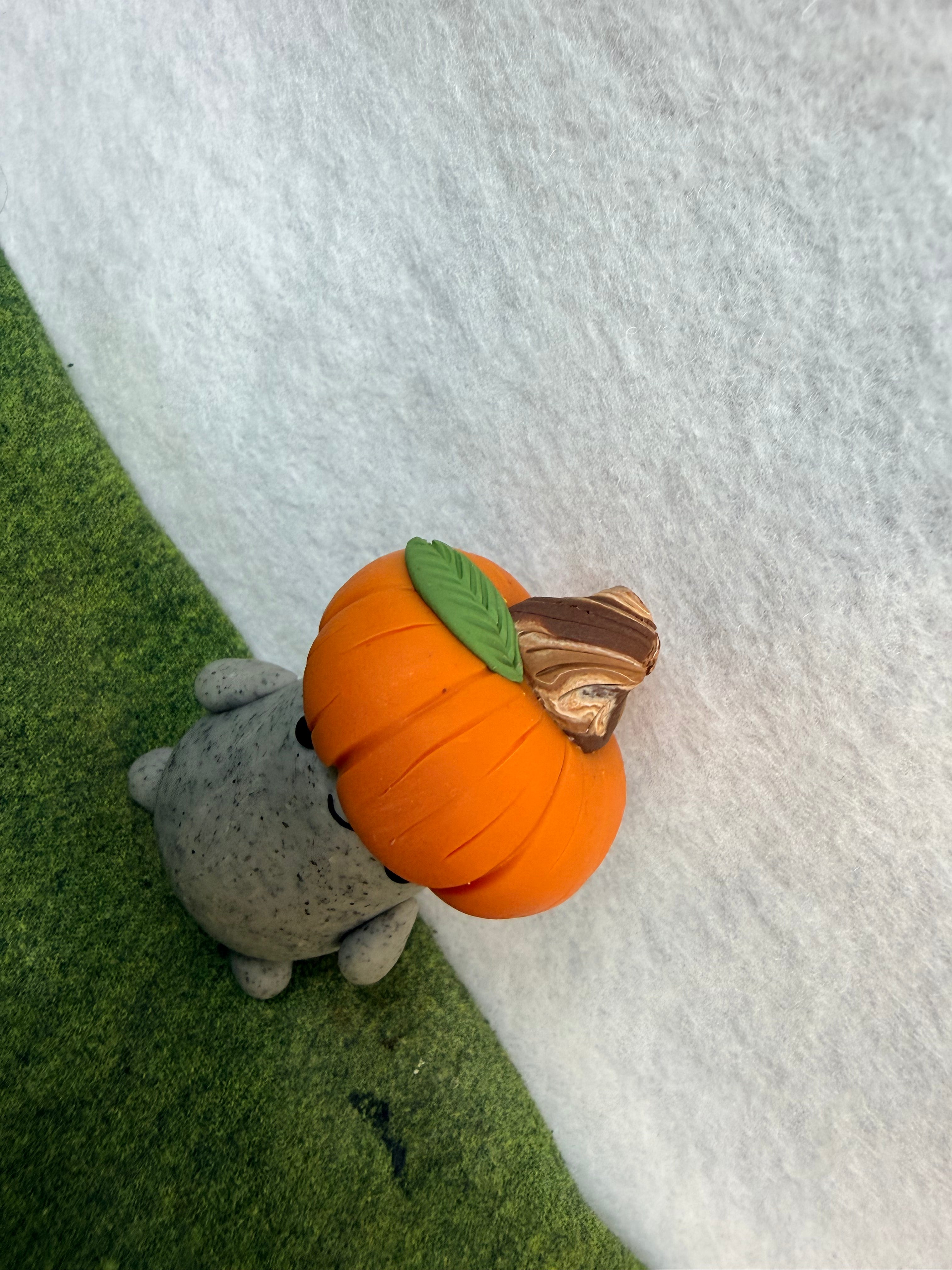 Halloween, Pumpkin Rock Pet