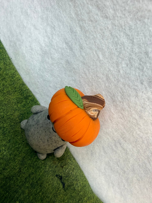 Halloween, Pumpkin Rock Pet