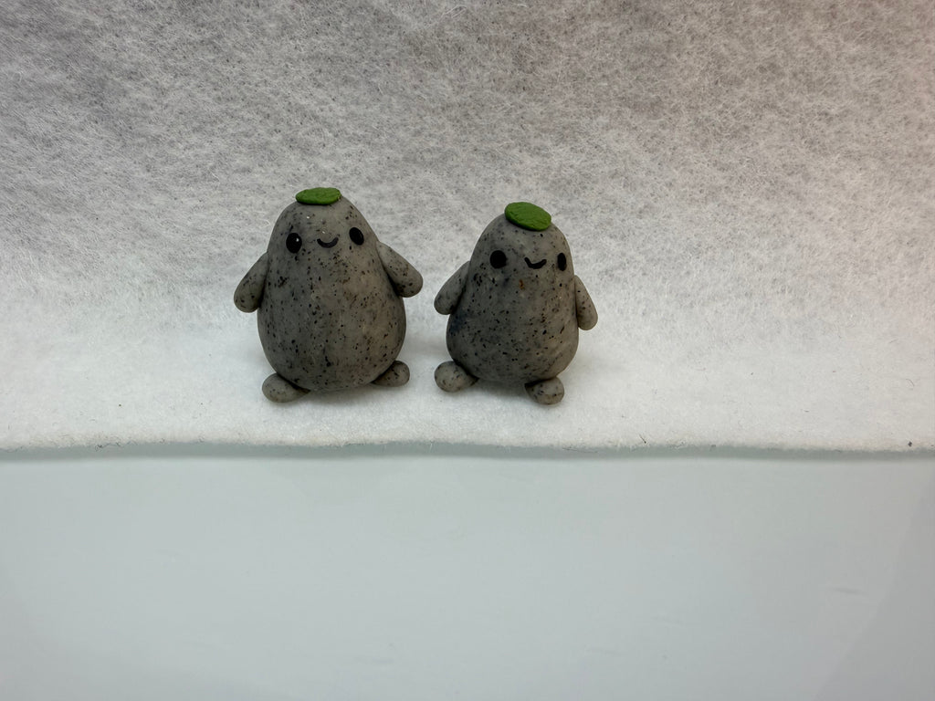 Tiny Rock Pet