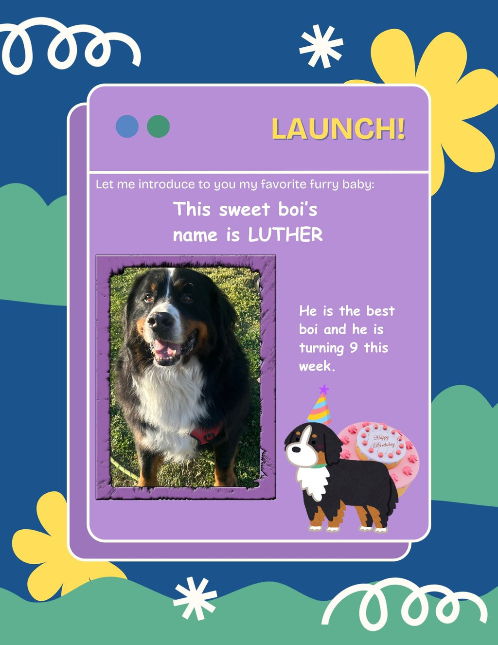 Luther, Bernese mountain dog desk buddy