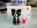 Luther, Bernese mountain dog desk buddy