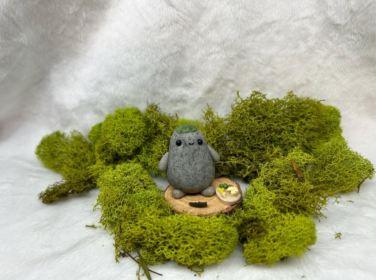 Rock Pet