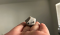 Lil' Rock Pet