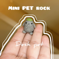 Tiny Rock Pet