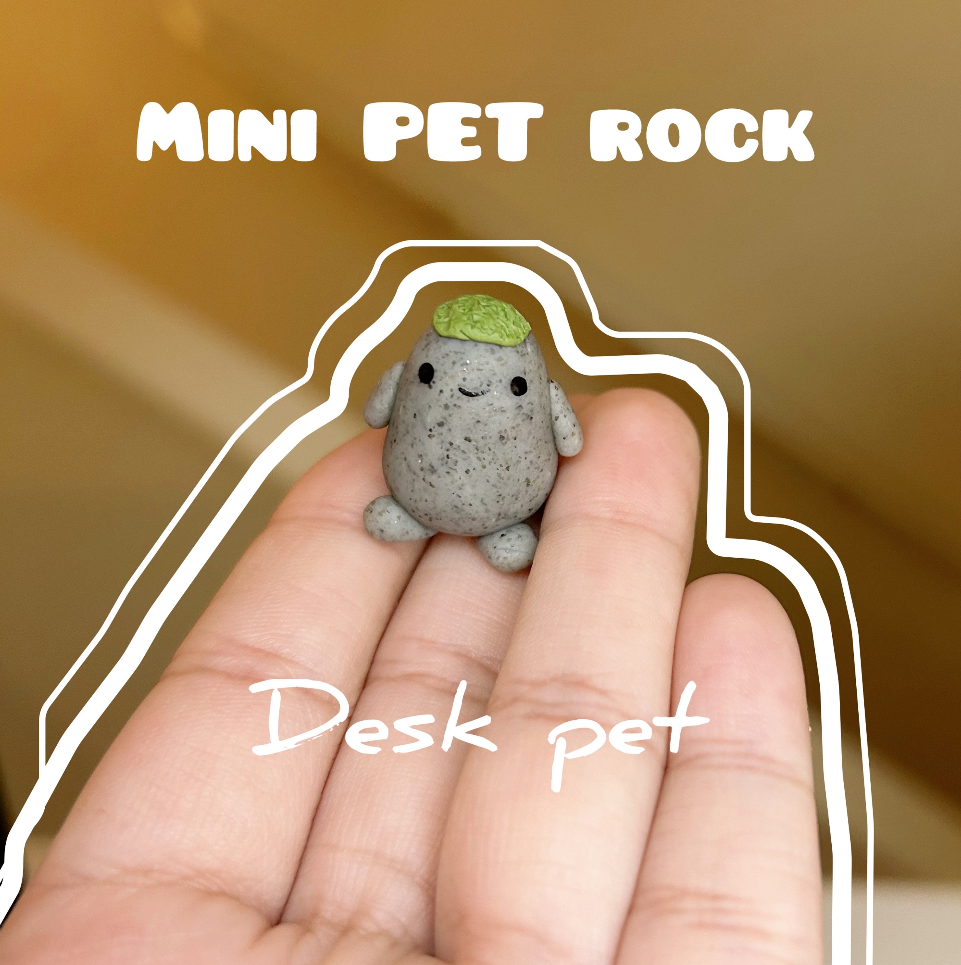 Tiny Rock Pet