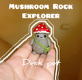 Mushroom Rock Pet